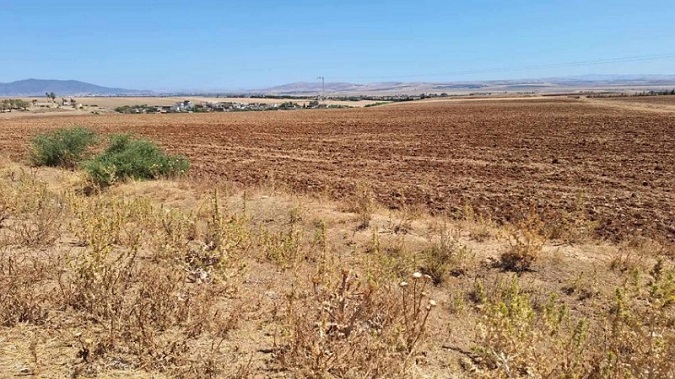 وزارة أملاك الدولة تؤكّد على أهمية المعاينات الميدانية وترتيب الآثار القانونية..   العقارات الدولية.. رصيد استراتيجي يقتضي التثمين وحسن التوظيف!